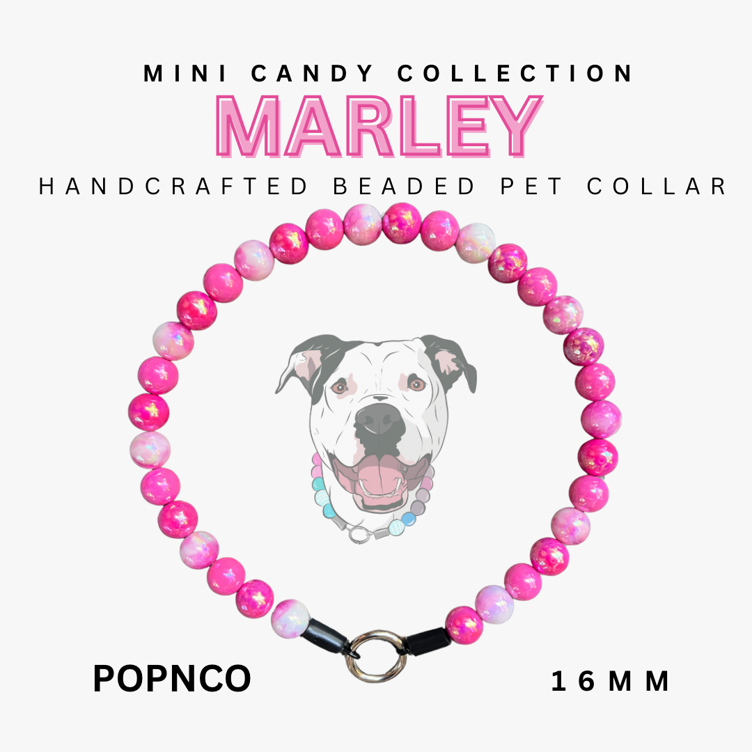 Mini MARLEY