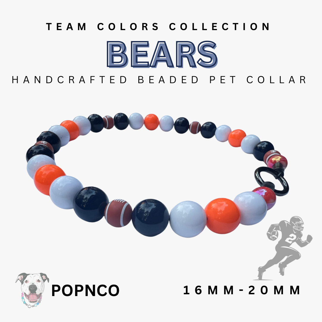 NBA | BEARS