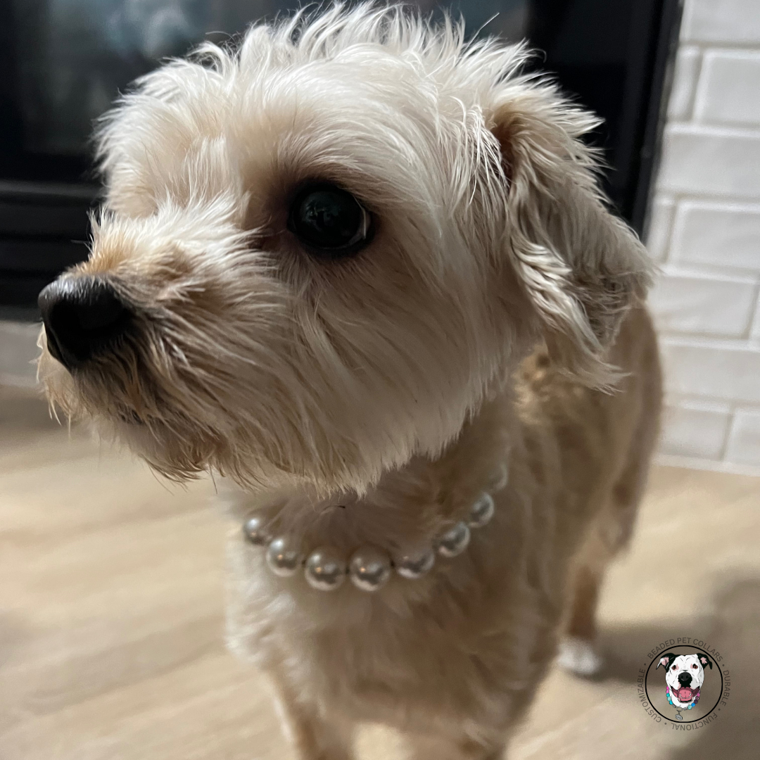Slip on beaded pearl mini dog collar.