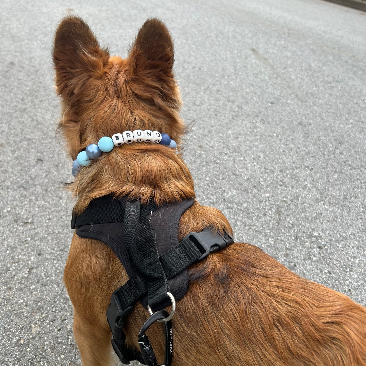 Custom Collar - BLUE JEANS - 16.5"