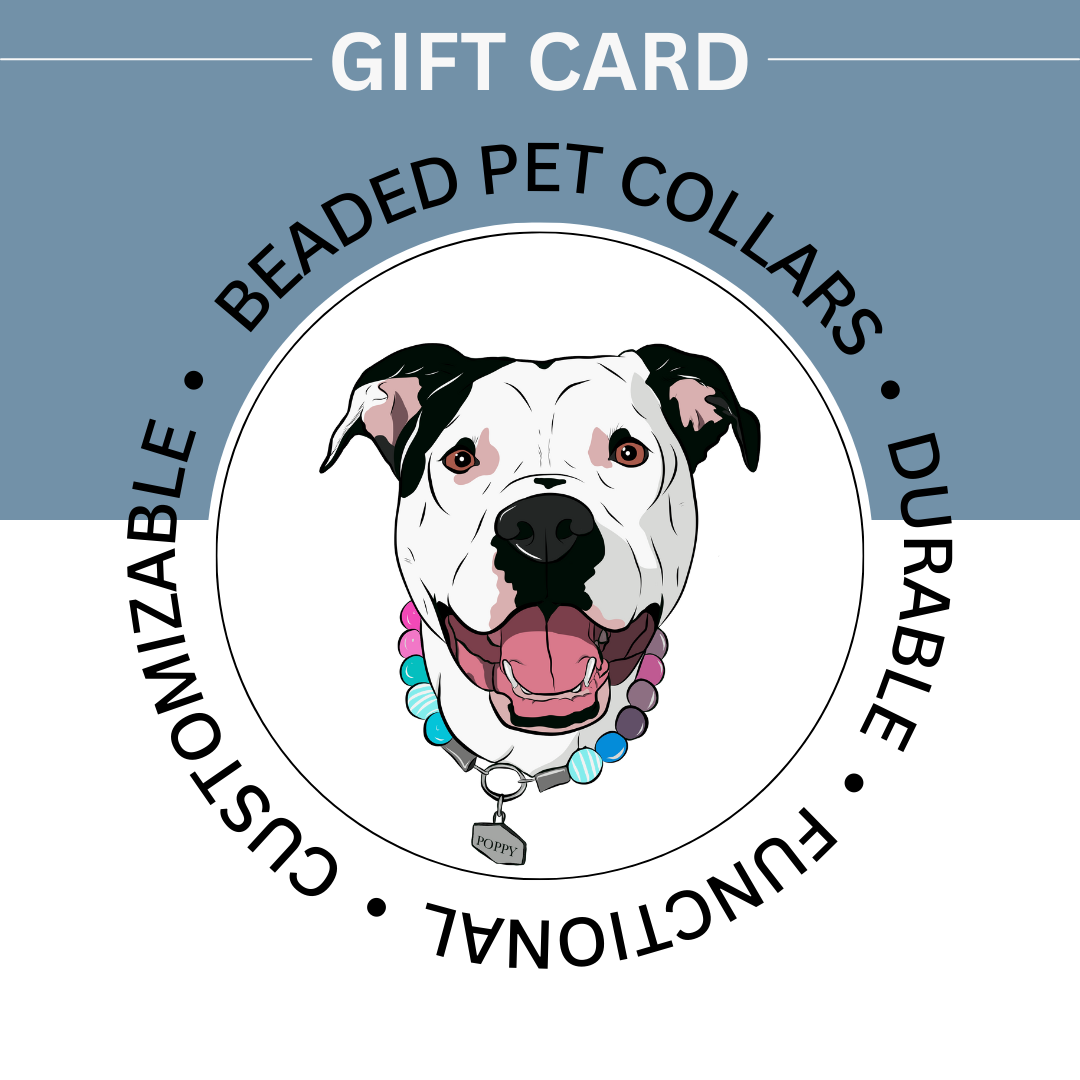 Beaded Dog Collar Gift Cards POPNCO