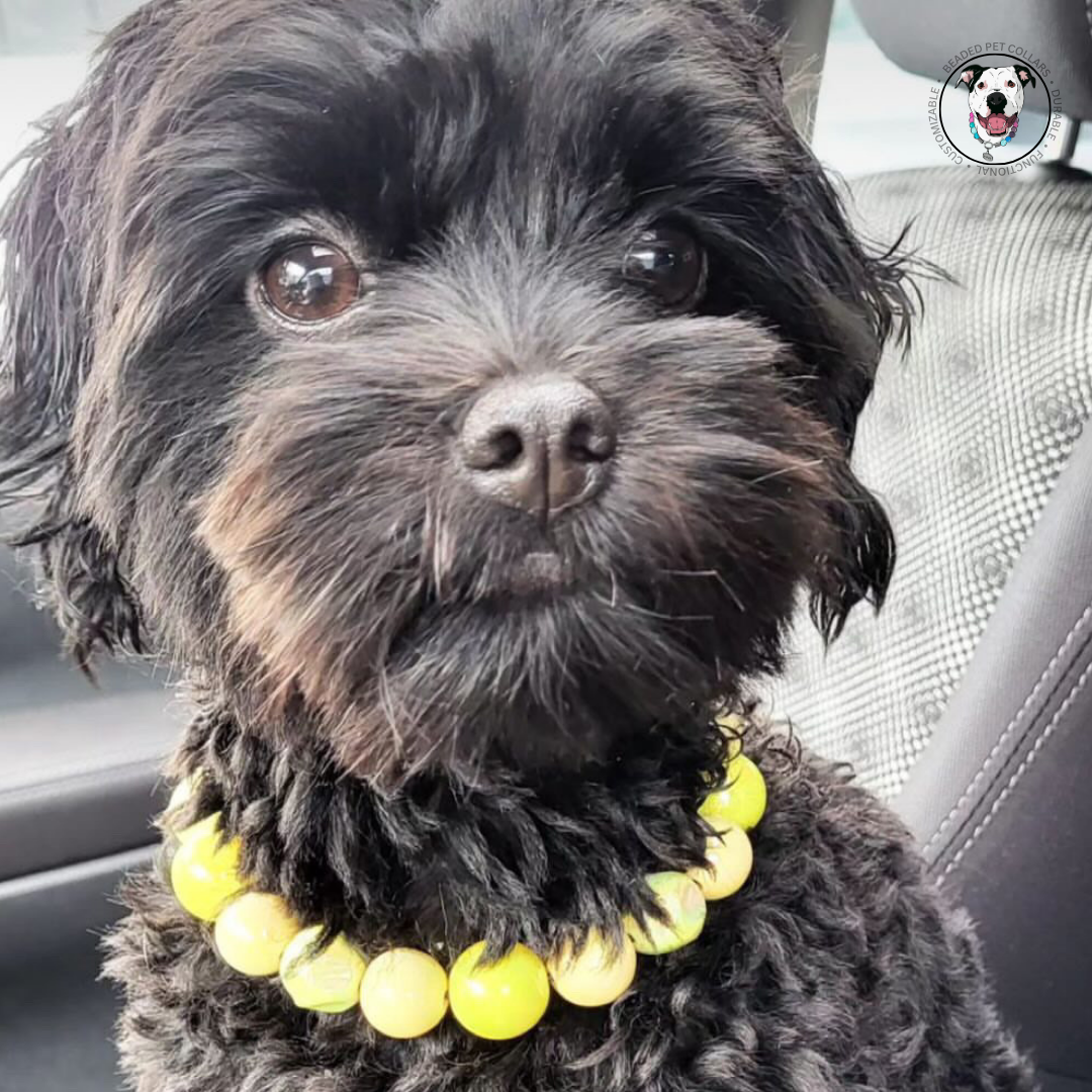 The Mini Buttercup Handmade Slip on Beaded Pet Collar made with acrylic yellow acrylic beads - customizable - Durable - adorable - flower collection dog collar