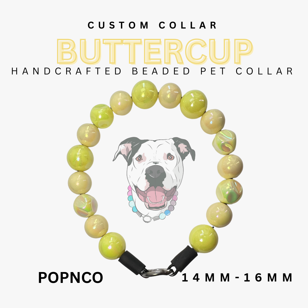 Custom Collar - Mini BUTTERCUP