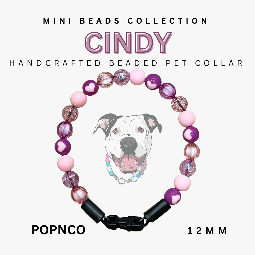 Handcrafted beaded pet collar with 'Cindy' branding on a white background