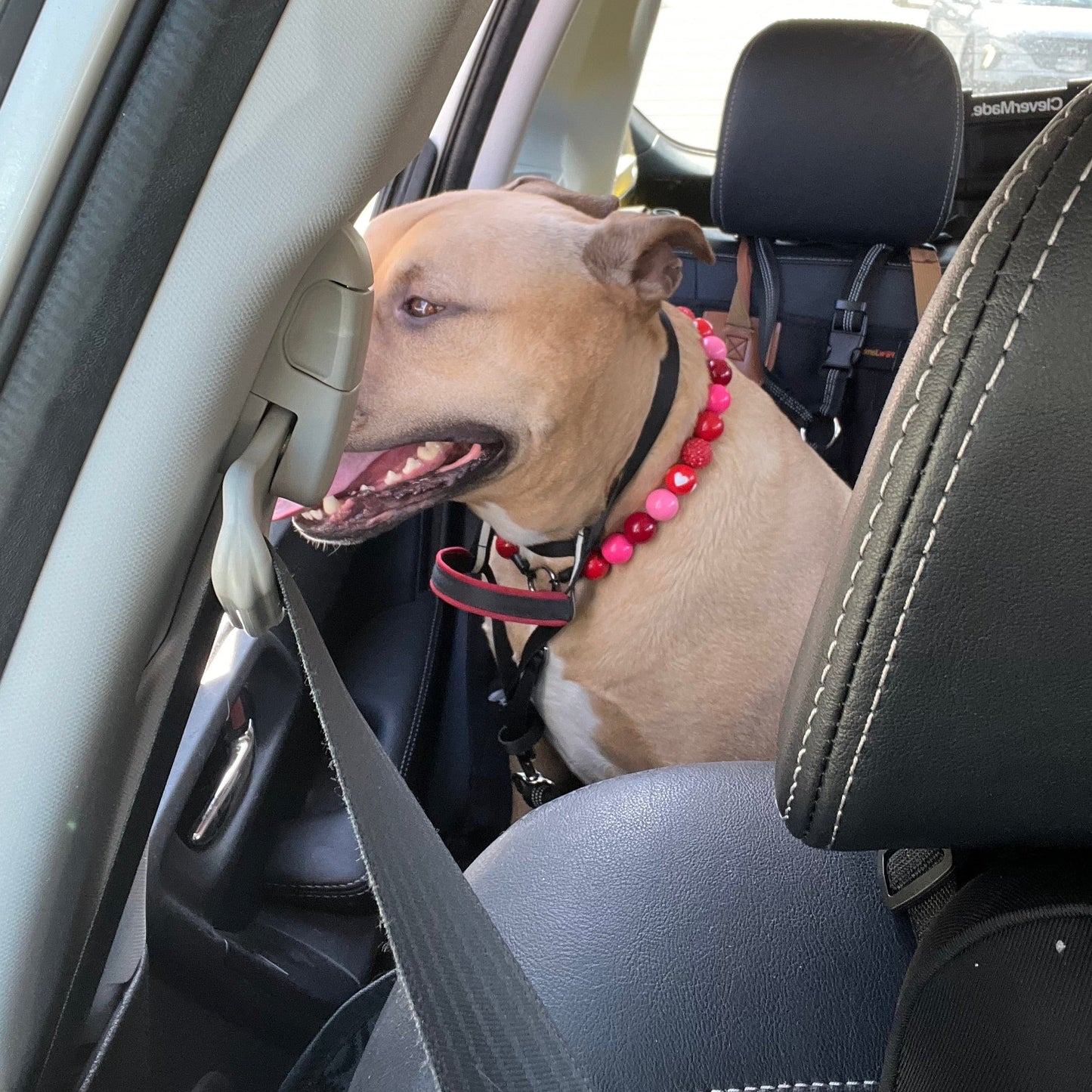 Pitbull in a car smiling wearing The Cupid - Handmade Slip on Beaded Pet Collar made with acrylic light pink and bright pink, red and red heart beads - customizable - Durable - adorable - Valentines Collection Dog Collar