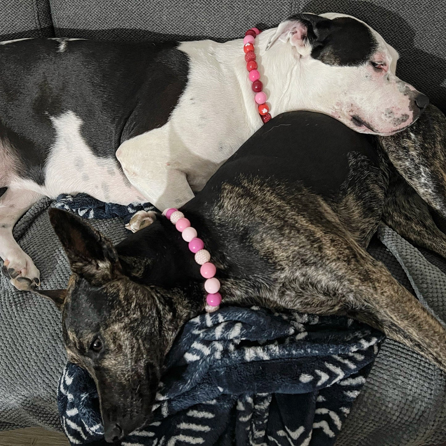 Two dogs cuddling wearing The Cupid - Handmade Slip on Beaded Pet Collar made with acrylic light pink and bright pink, red and red heart beads - customizable - Durable - adorable - Valentines Collection Dog Collar