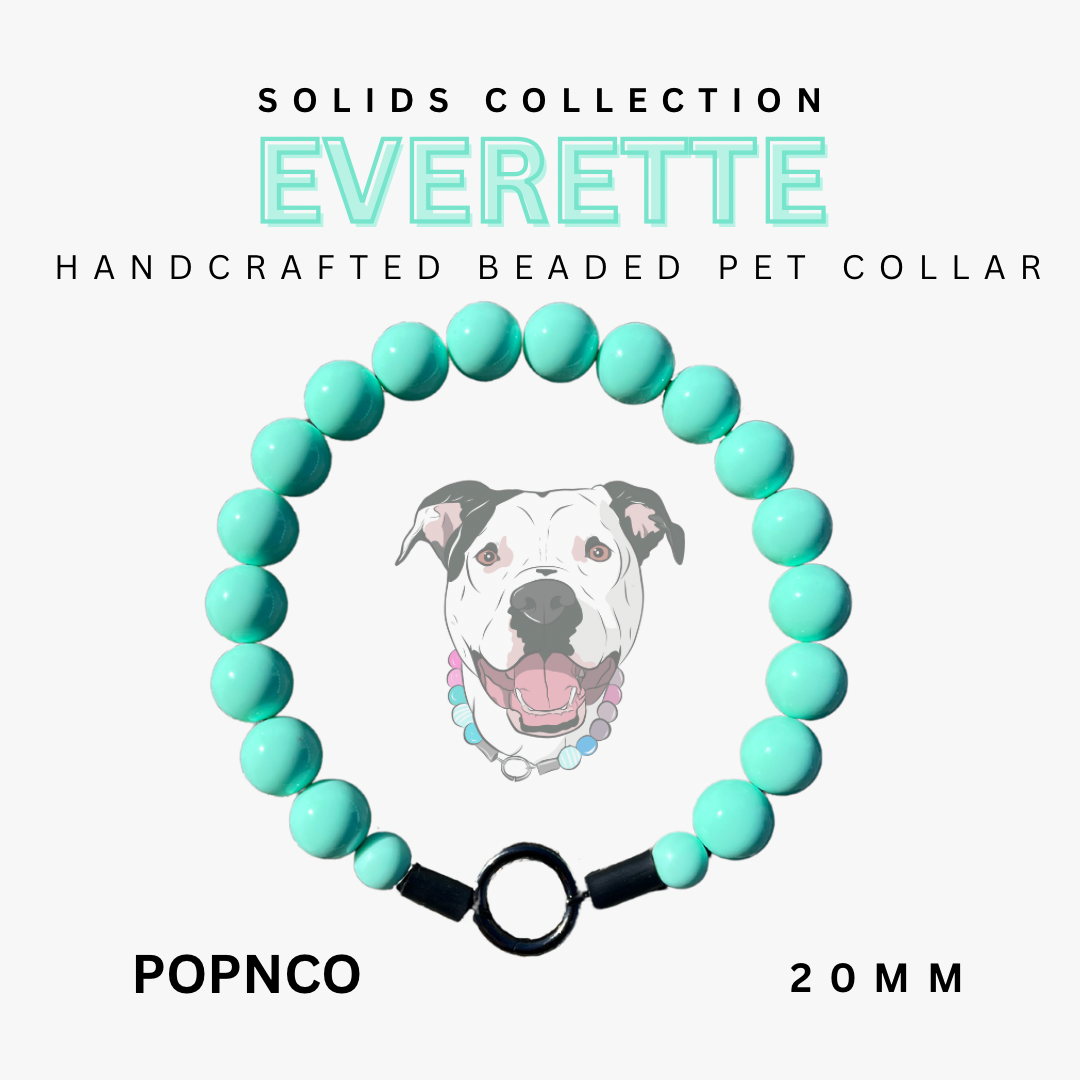 Turquoise beaded pet collar with a dog illustration on a white background, featuring the brand 'Everette'.