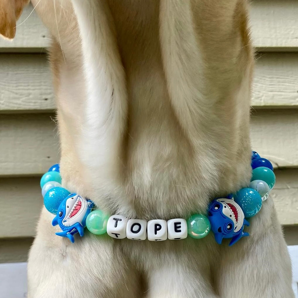 Dog wearing a colorful collar with shark charms and name 'TOPE'