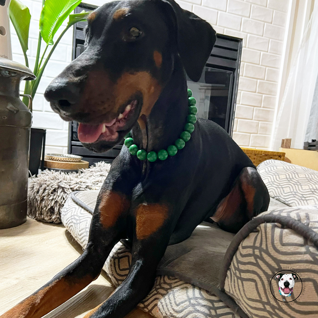 Doberman dog wearing The Forrest - Handmade Slip on Beaded Pet Collar made with dark green acrylic beads - customizable - Durable - adorable