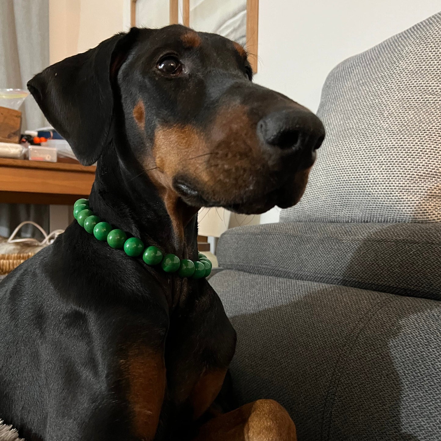 Doberman dog wearing The Forrest - Handmade Slip on Beaded Pet Collar made with dark green acrylic beads - customizable - Durable - adorable