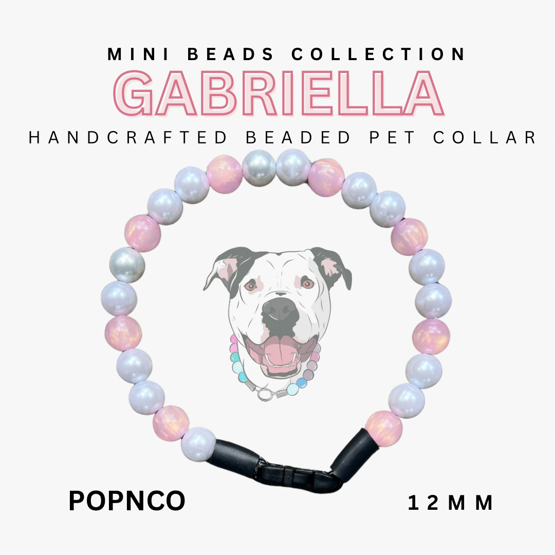 Handcrafted beaded pet collar with 'Gabriella' branding on a white background