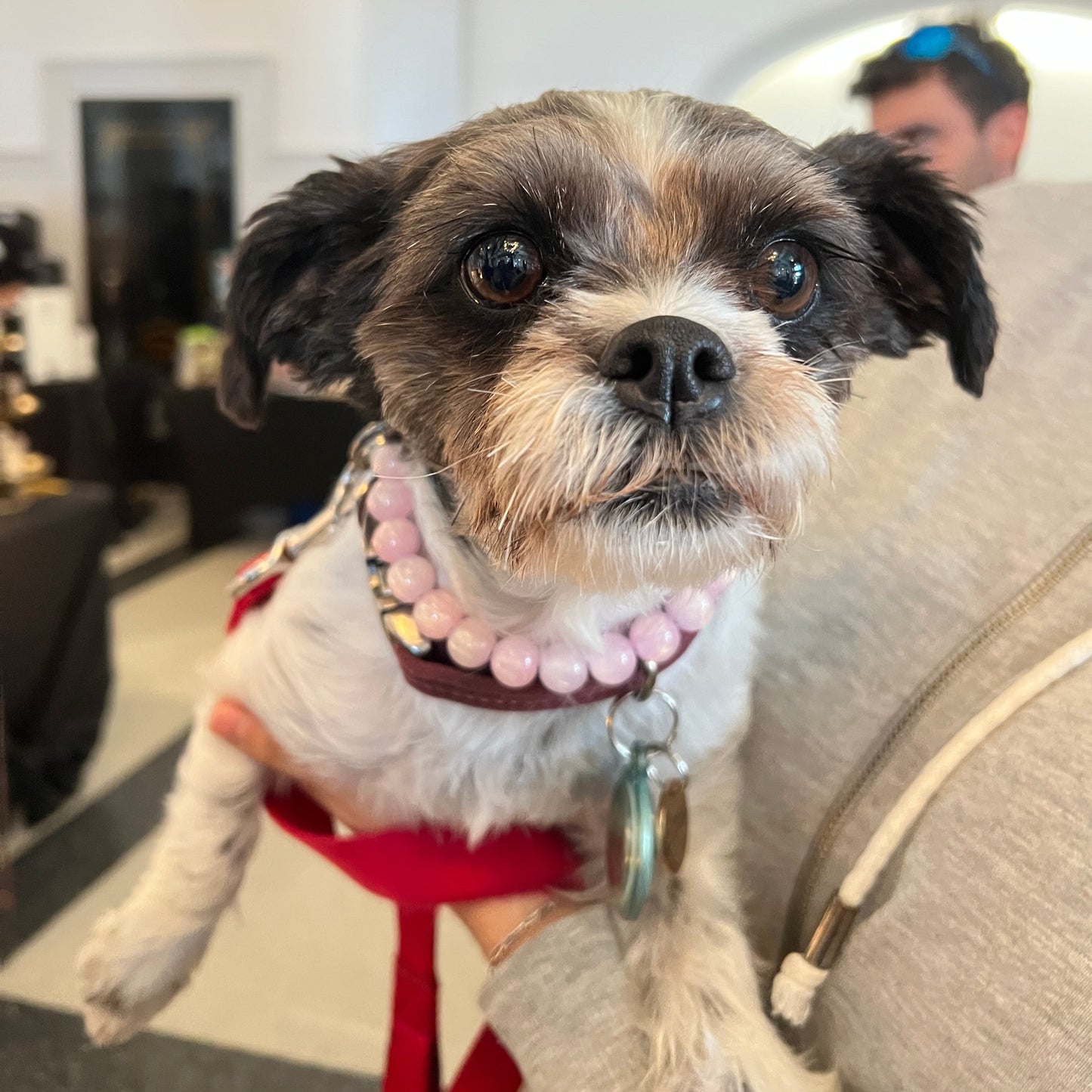 Mini GISELLE