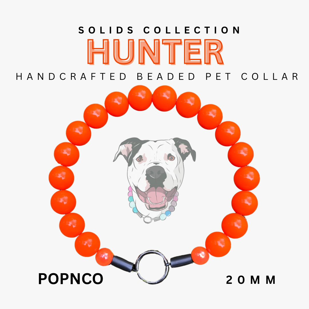 HUNTER