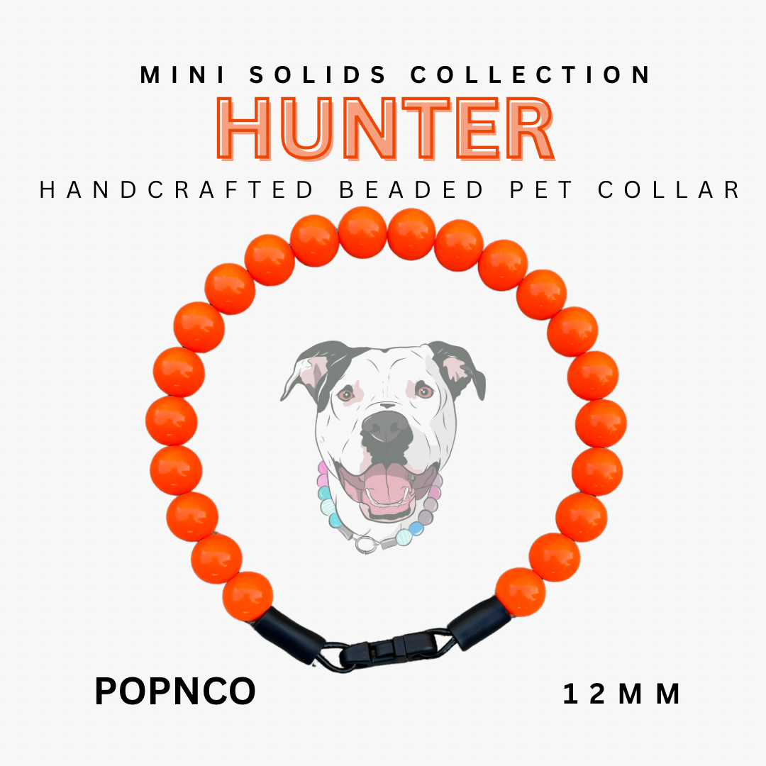 Handcrafted beaded pet collar with orange beads and black strap, featuring a dog illustration and text about the 'Mini Solids Collection' and brand 'POPNCO'.
