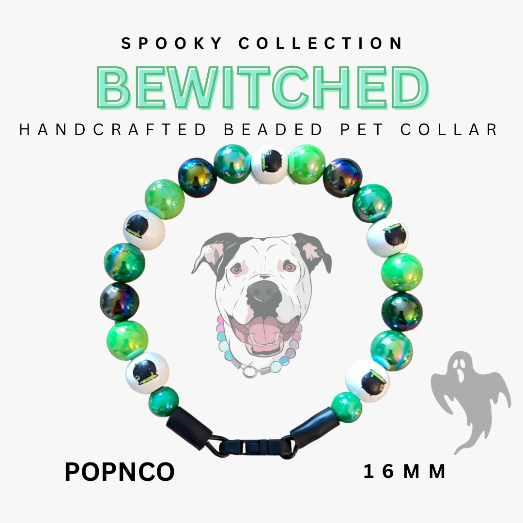 Spooky Collection 2025 - BEWITCHED