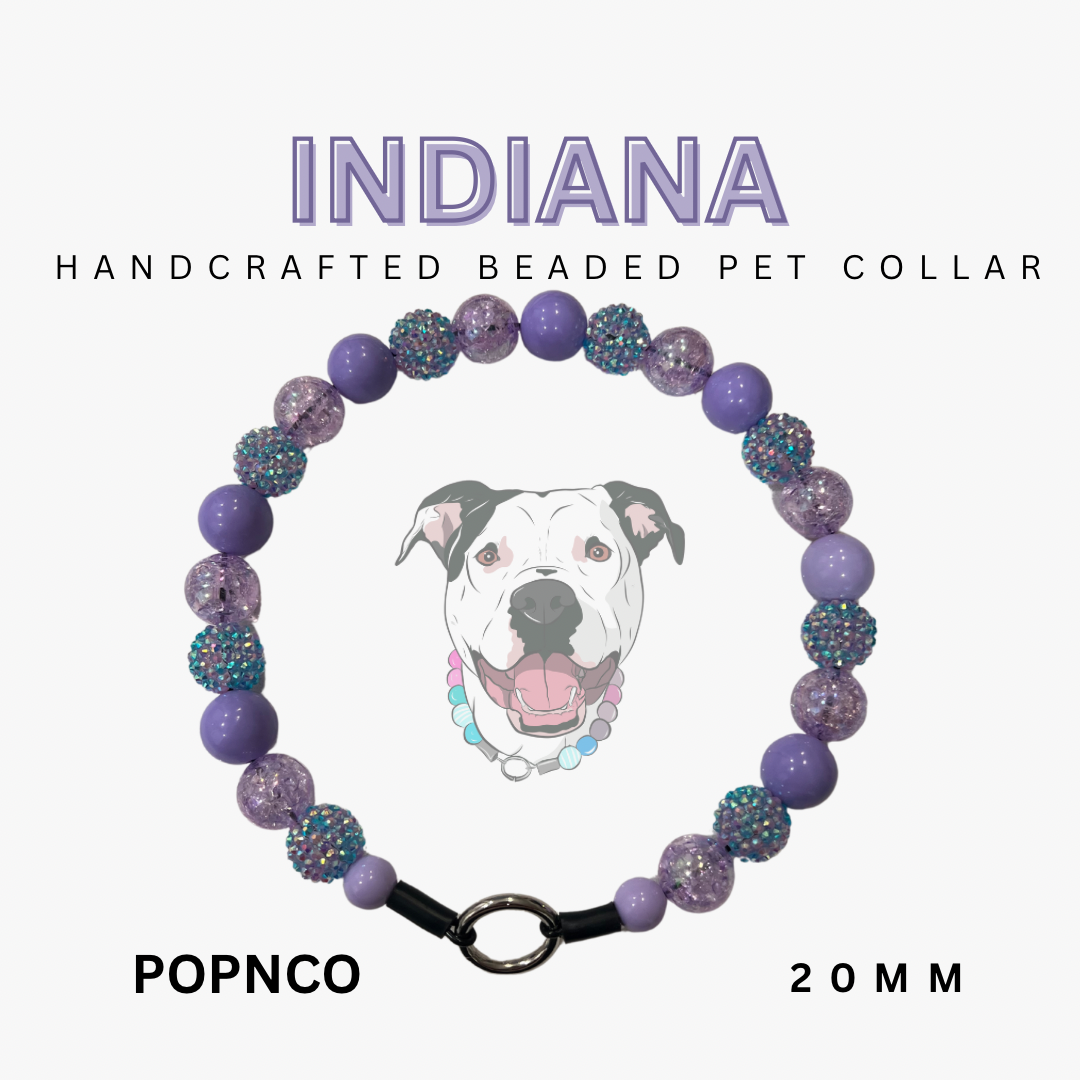 Handcrafted beaded pet collar with purple and glittery beads, featuring a dog illustration and brand name 'INDIANA'.