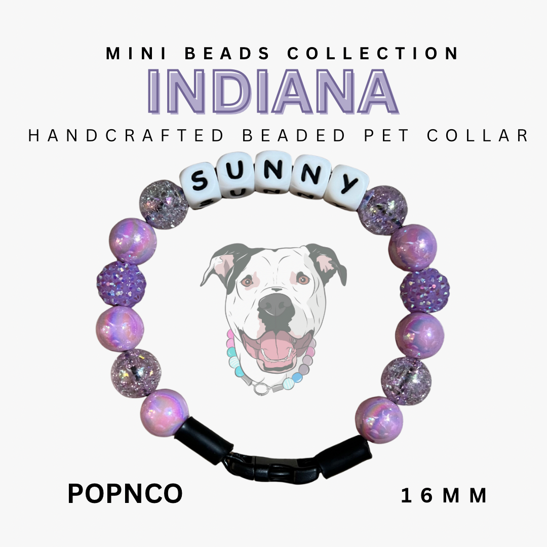 Mini INDIANA