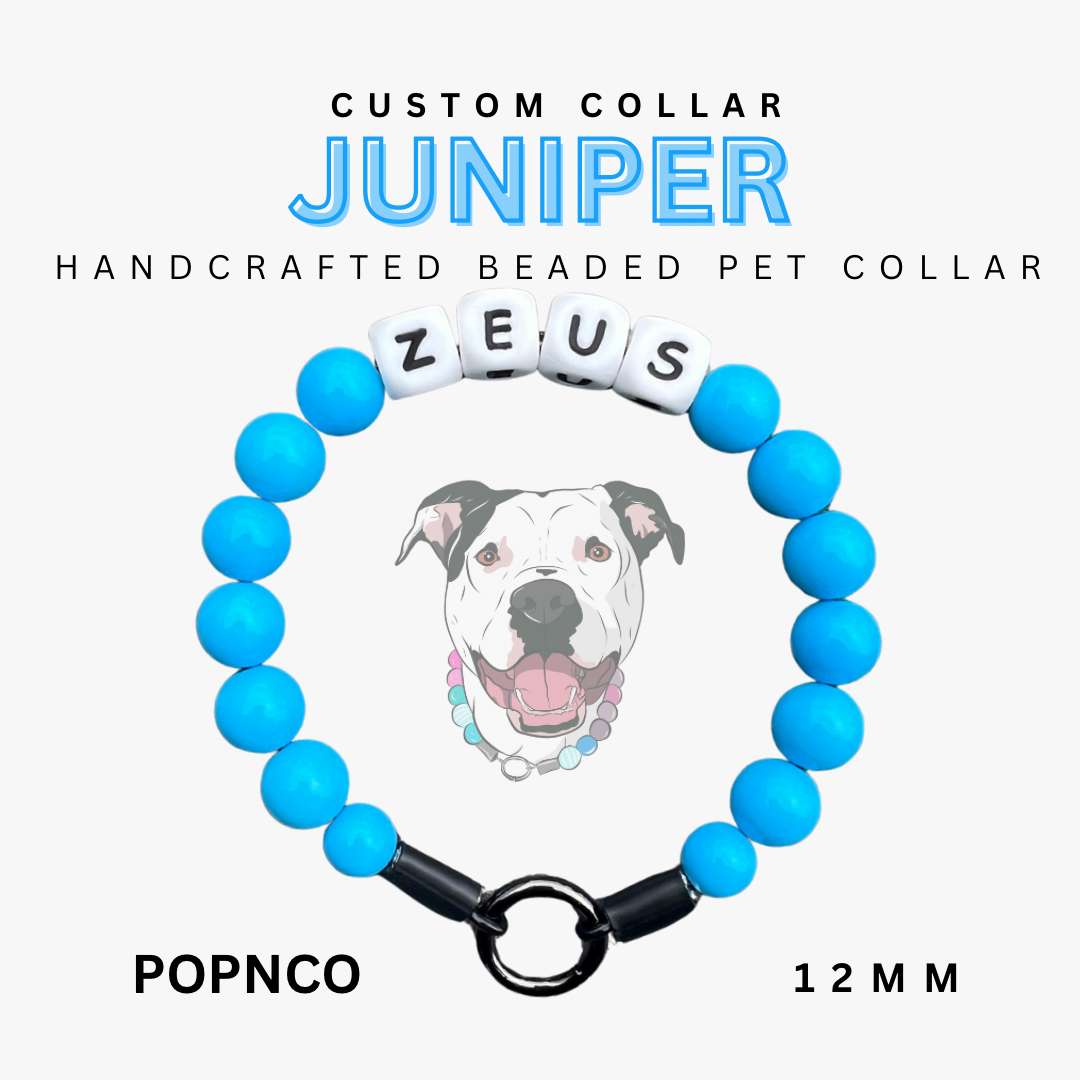 Blue beaded pet collar with 'ZEUS' on a white background