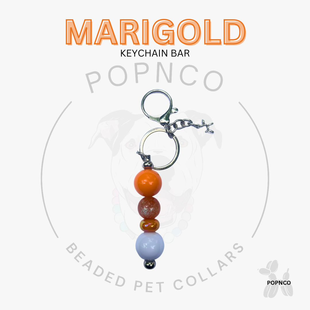 Keychain bar with beads on a white background, featuring the brand 'Popnco'. POPNCO