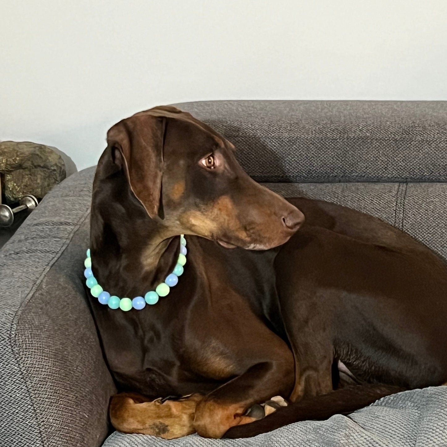 Doberman - The Luna - Collection - slip on Beaded dog Collar - Made with alternating blue and green acrylic beads - aircraft stainless steel and a o ring - Durable - handmade - customizable - comfortable