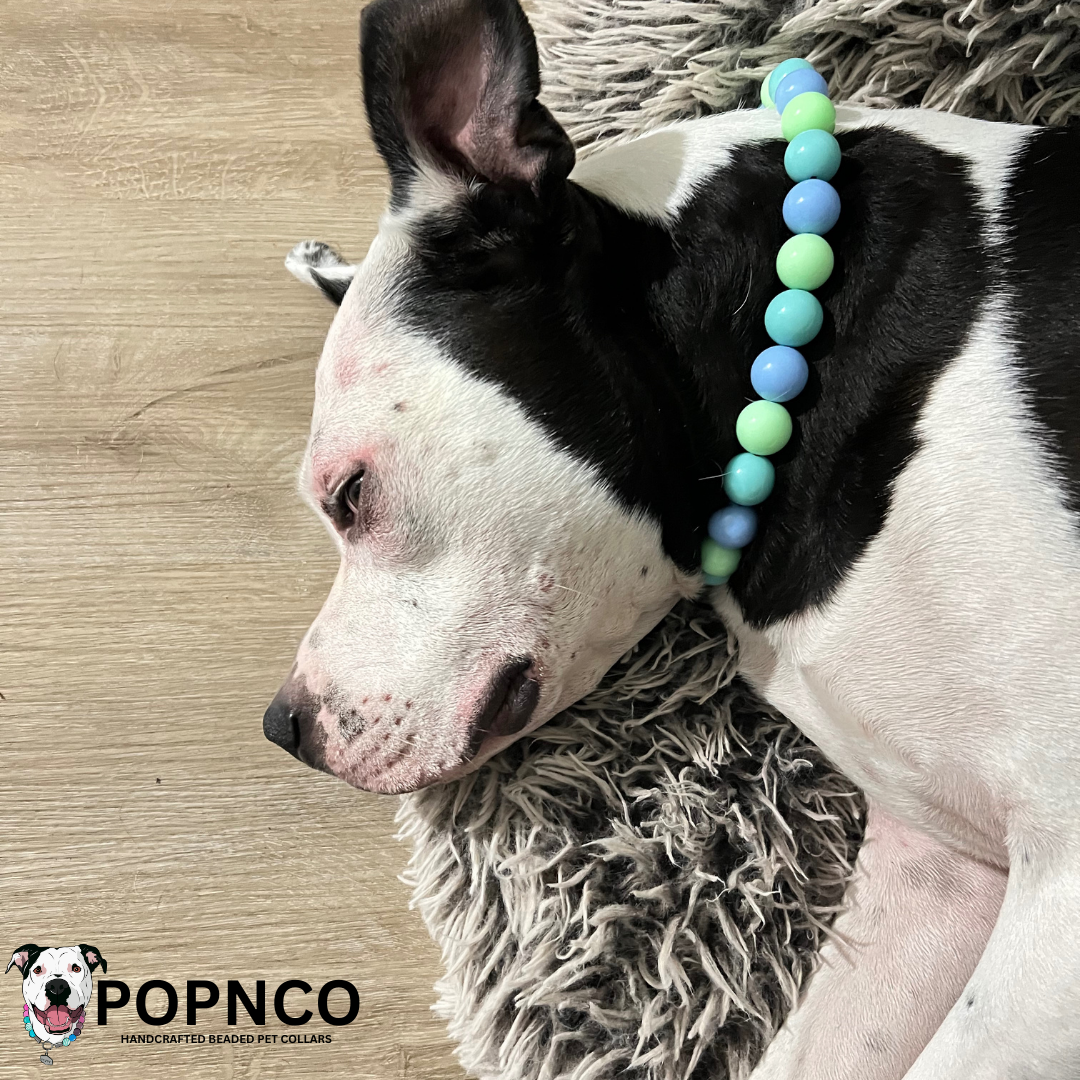 The Luna - Collection - slip on Beaded dog Collar - Made with alternating blue and green acrylic beads - aircraft stainless steel and a o ring - Durable - handmade - customizable - comfortable