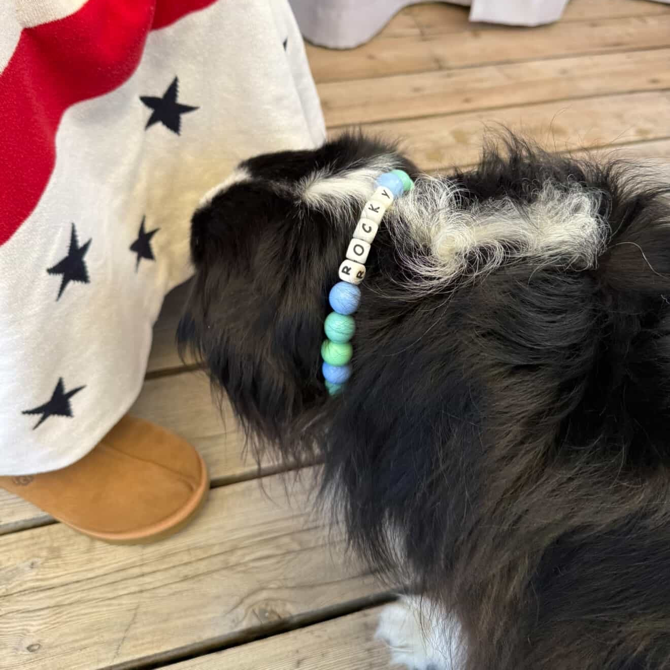 Dog with a colorful beaded collar next to a person wearing a red, white, and blue outfit on a wooden floor.