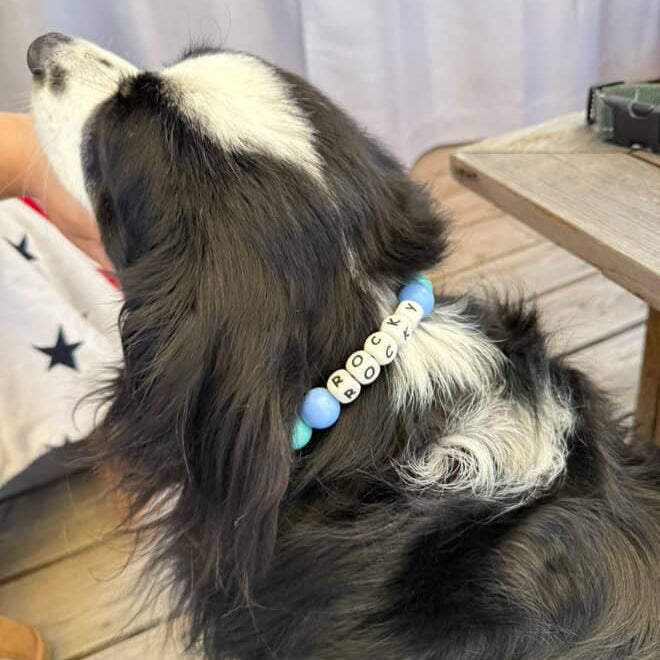 Dog wearing a collar with blue beads and letters on a wooden floor.