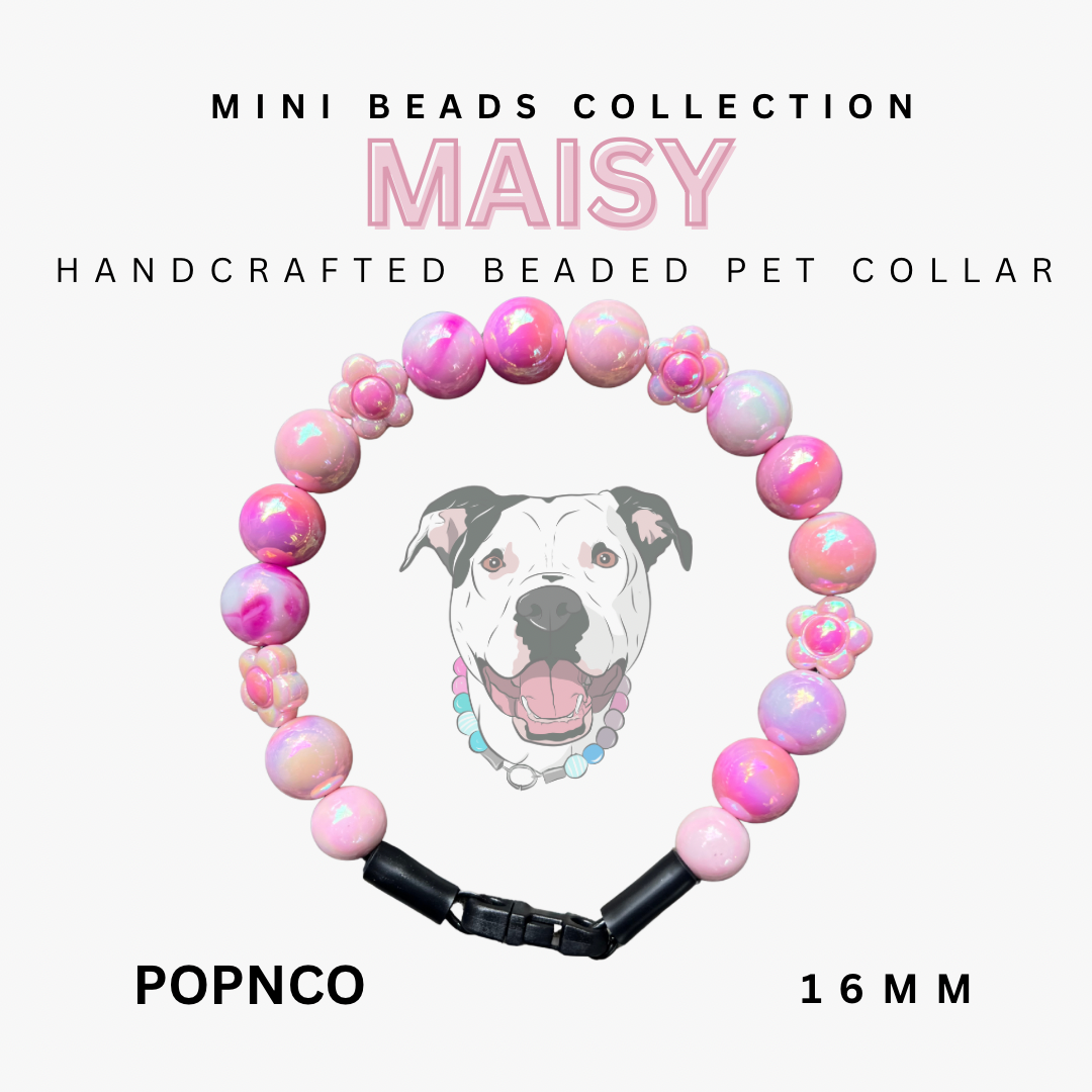 Handcrafted beaded pet collar with 'MAISY' branding on a white background
