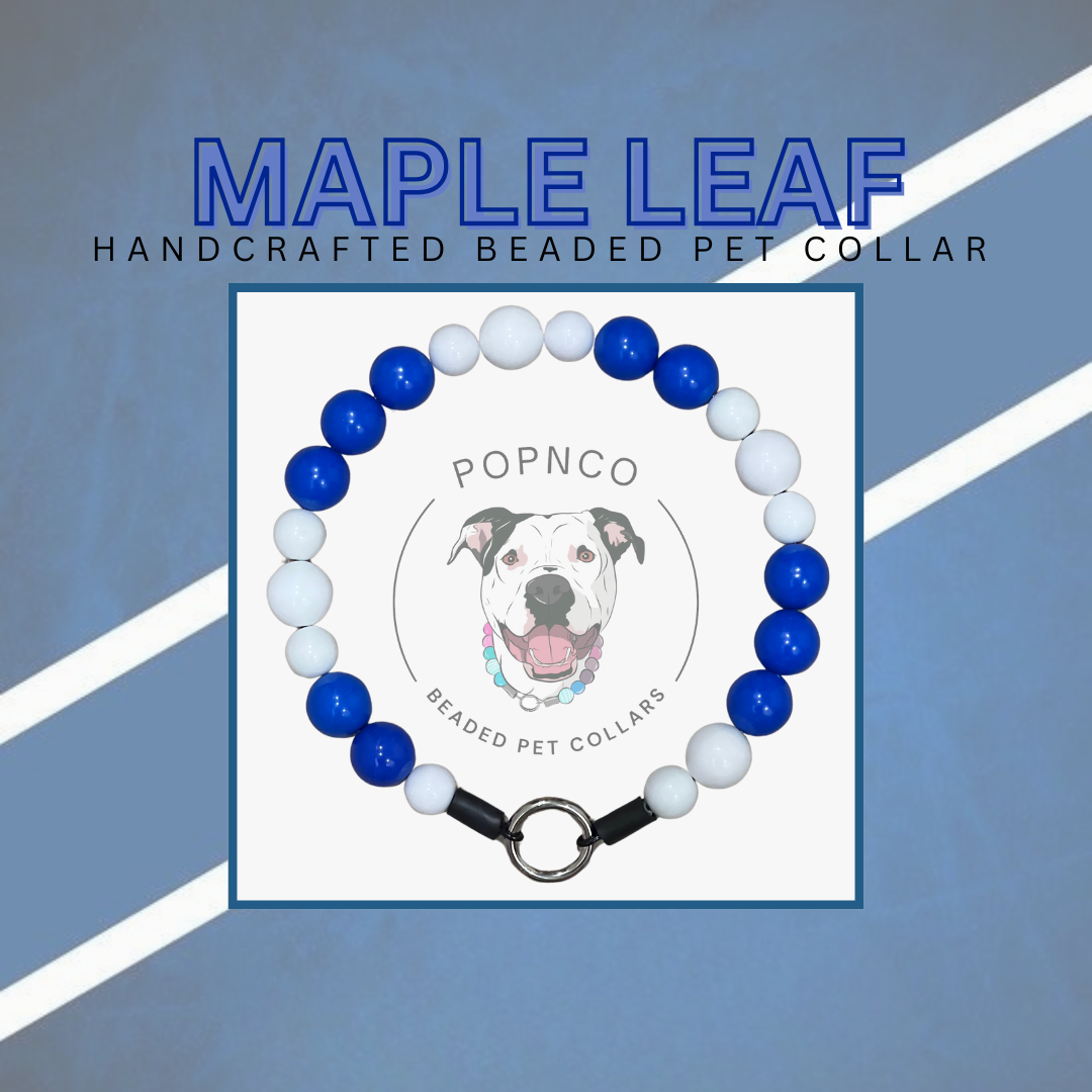 NHL | MAPLE LEAFS