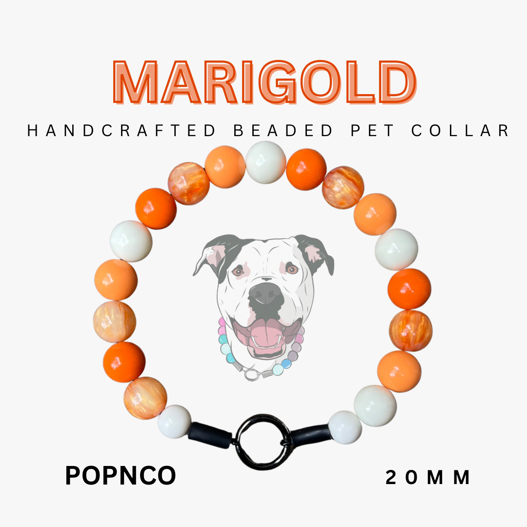 Handcrafted beaded pet collar with orange and white beads, featuring a dog illustration and brand name 'Popnco'.