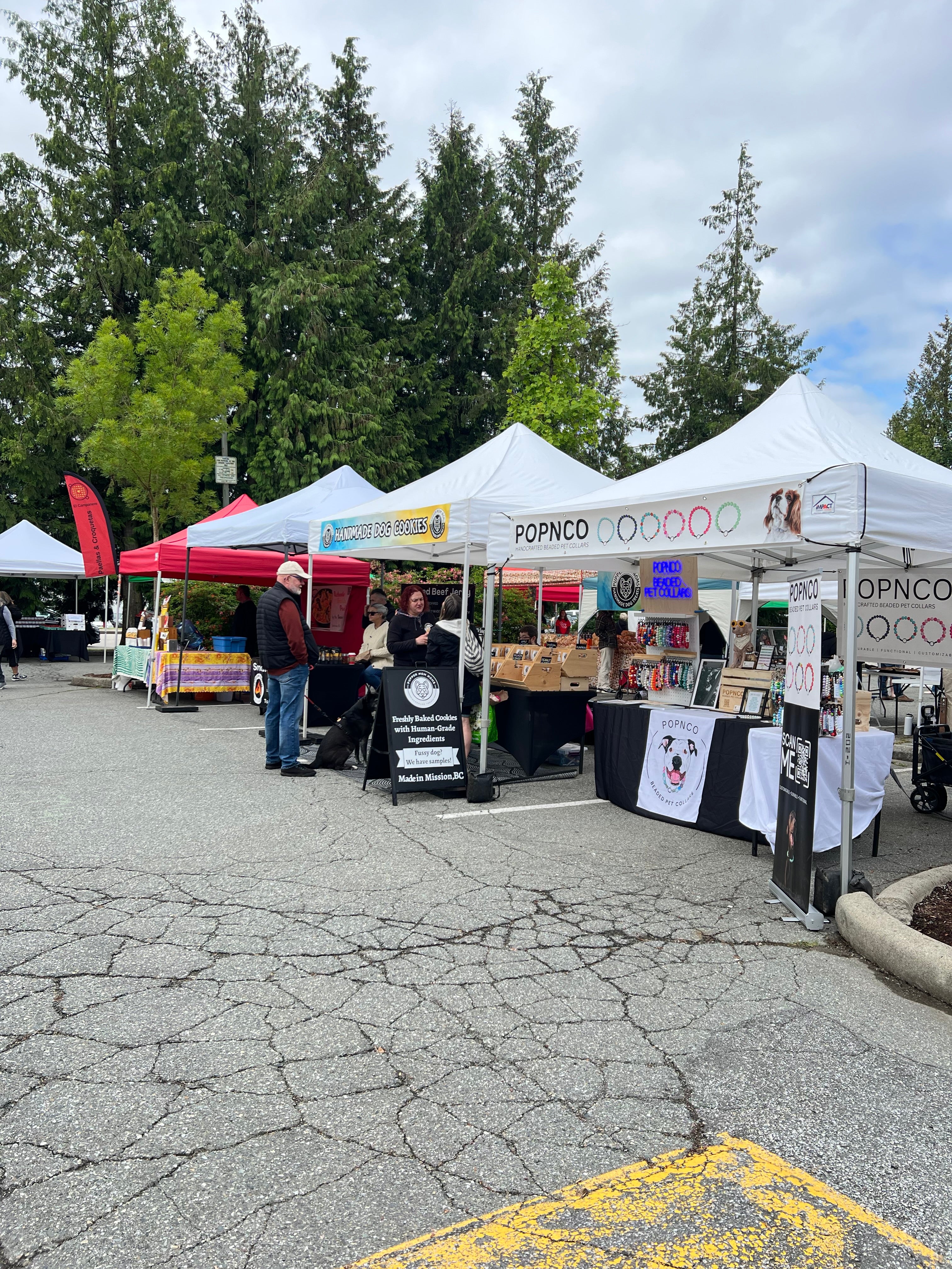 Outdoor market with stalls along a cracked pavement, trees in the background