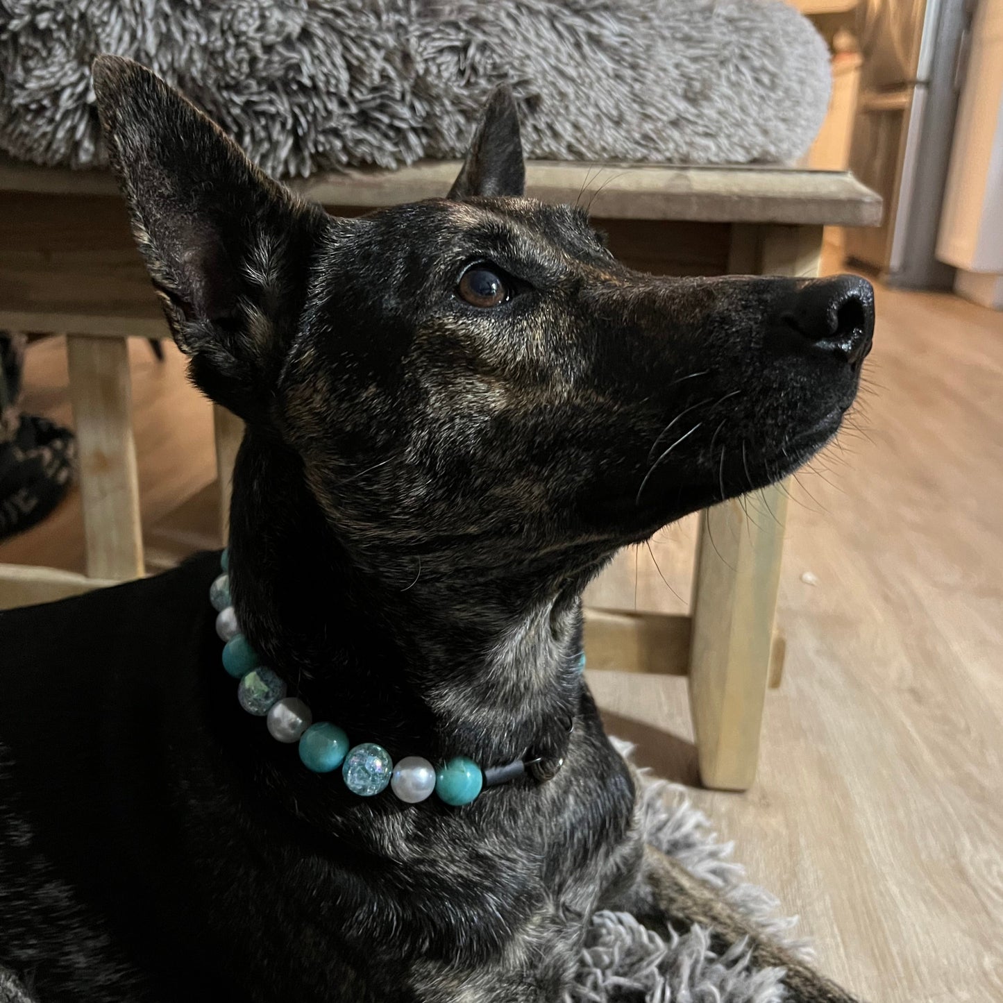 The Morgan - slip on Beaded dog Collar - Made with alternating Pearl, blue crackle and light blue acrylic beads - aircraft stainless steel and a o ring - Durable - handmade - customizable - comfortable