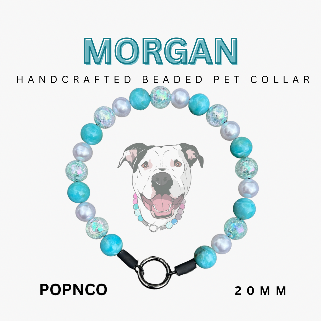 Handcrafted beaded pet collar with a dog illustration and product details on a white background