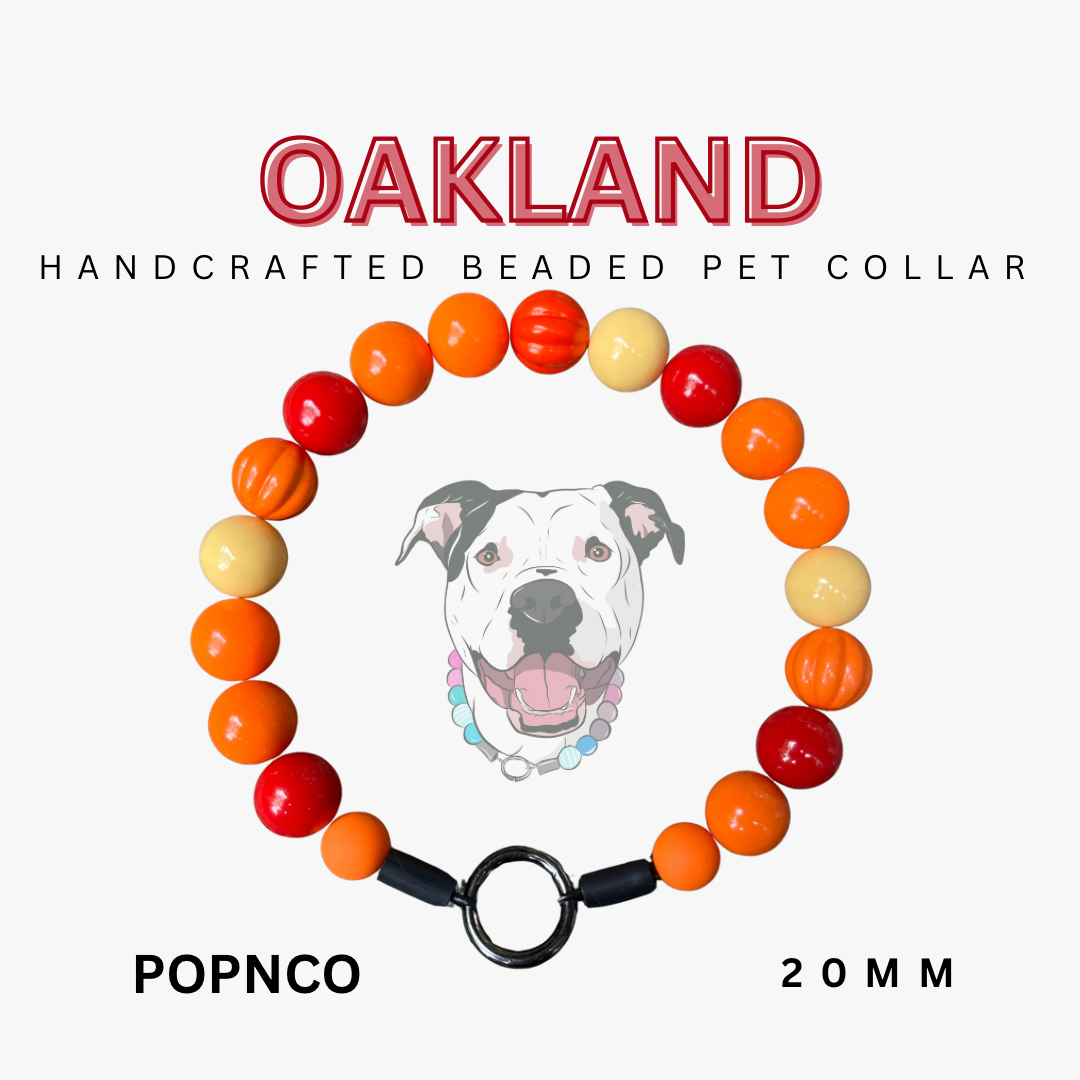 Handcrafted beaded pet collar with colorful beads and a dog illustration on a white background.