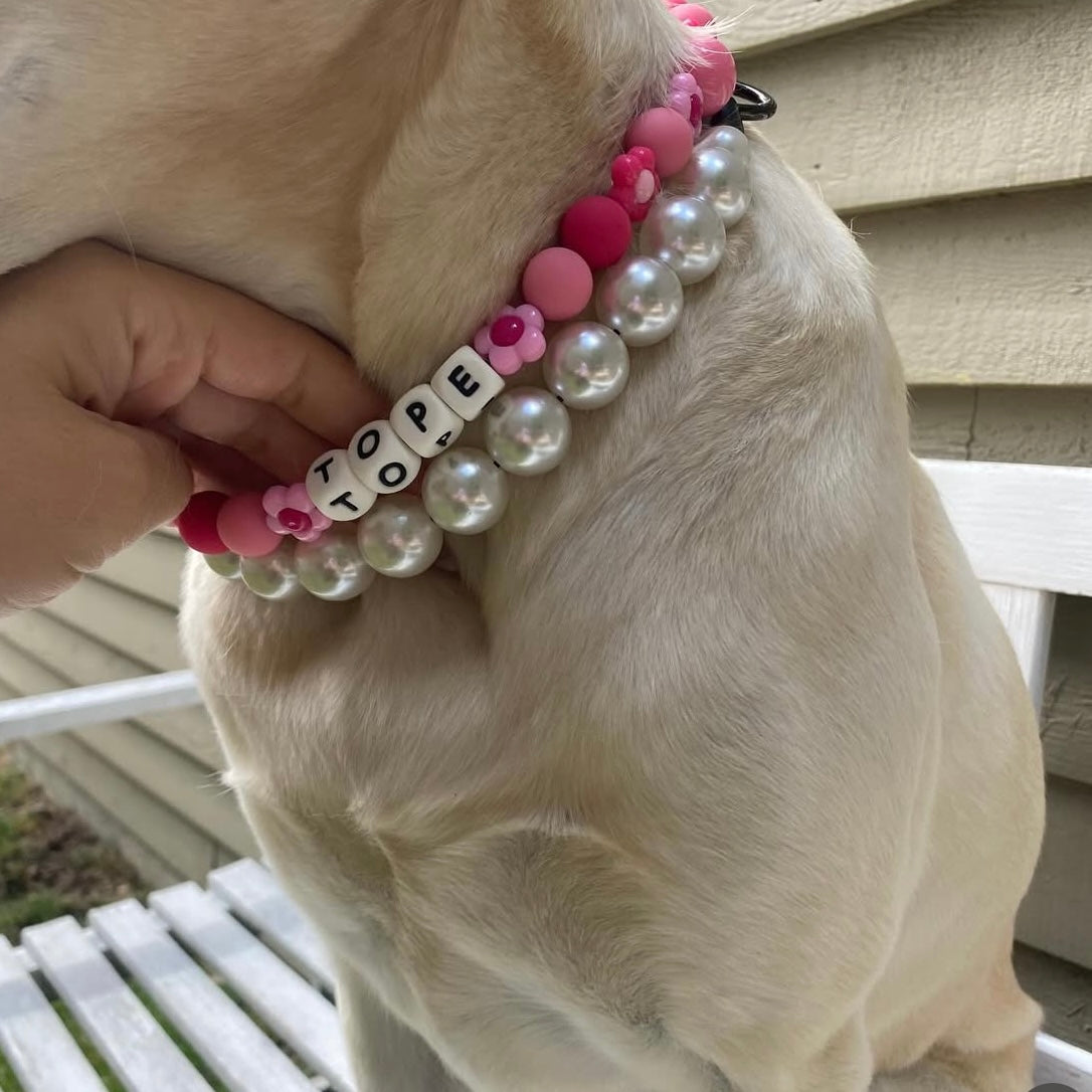 Dog wearing a decorative collar with pearls and flowers, held by a person.