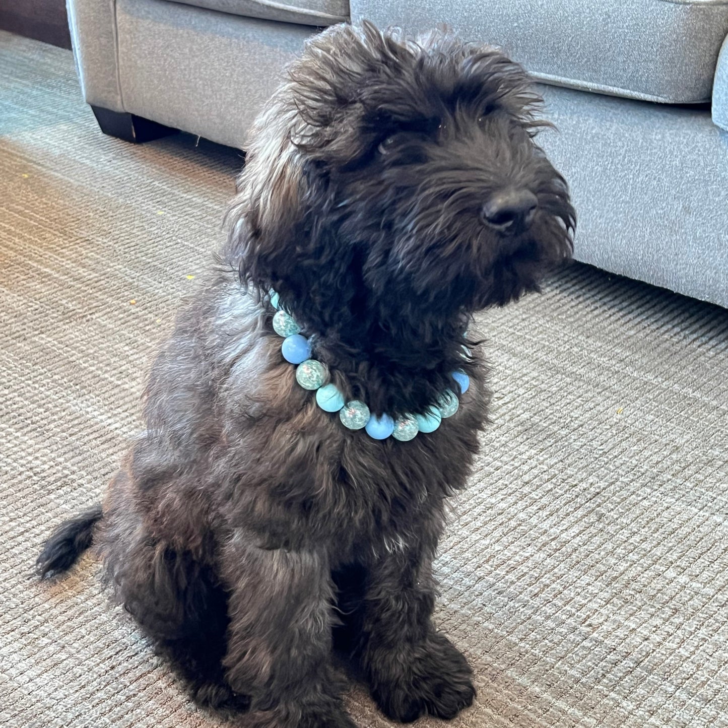 The Ollie - Slip on Beaded dog Collar - Made with light blue acrylic beads - aircraft stainless steel and a o ring - Durable - handmade - customizable - comfortable - Whoodle