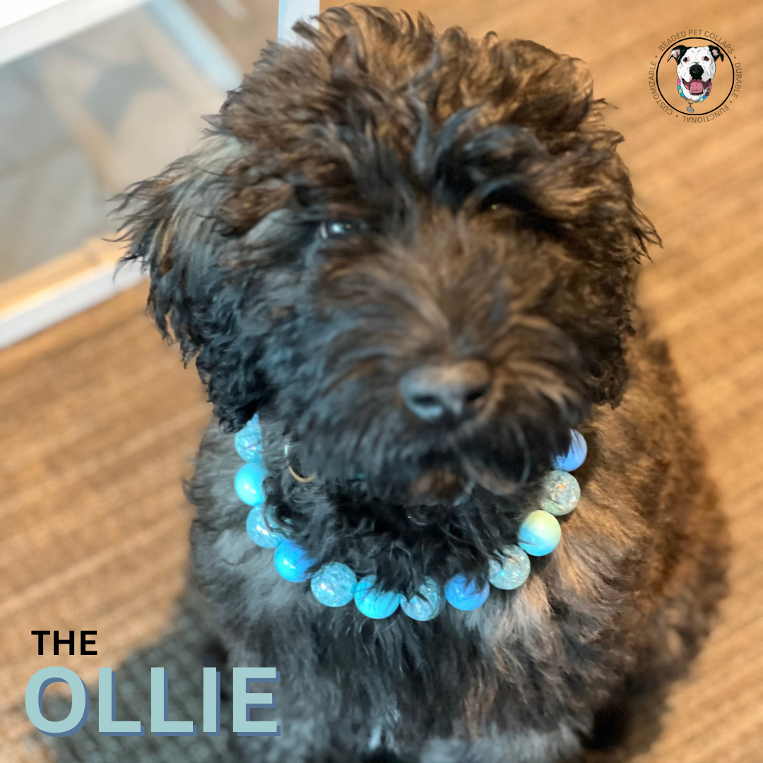 The Ollie - Slip on Beaded dog Collar - Made with light blue acrylic beads - aircraft stainless steel and a o ring - Durable - handmade - customizable - comfortable - whoodle