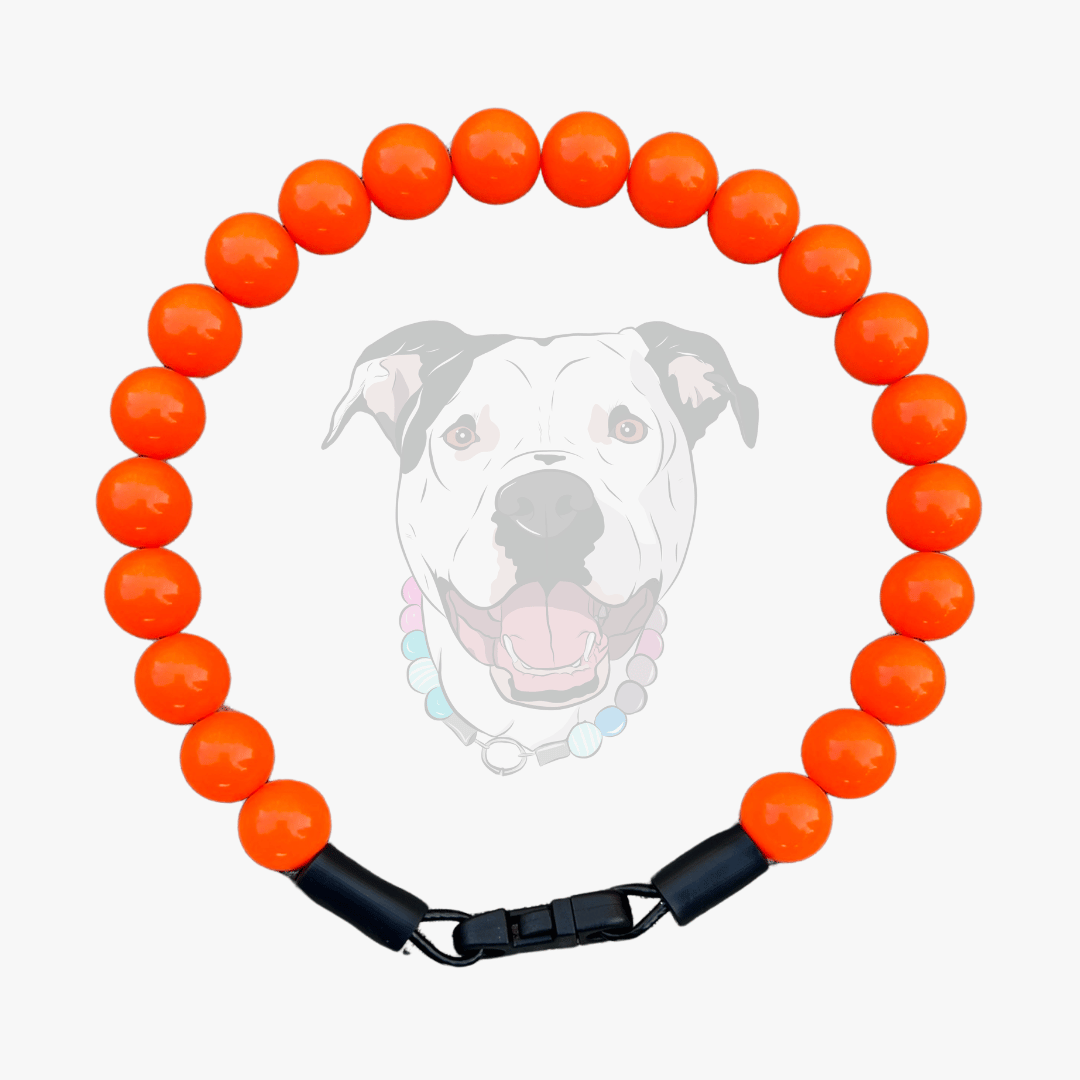 POPNCO 12mm Hunter Solid Orange beaded dog collar with a black clasp on a white background
