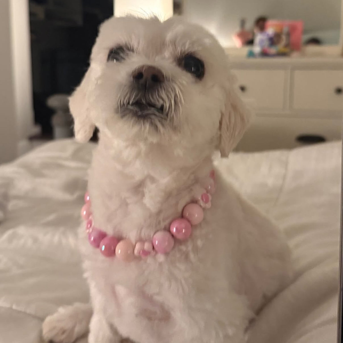 MAISY (16mm)