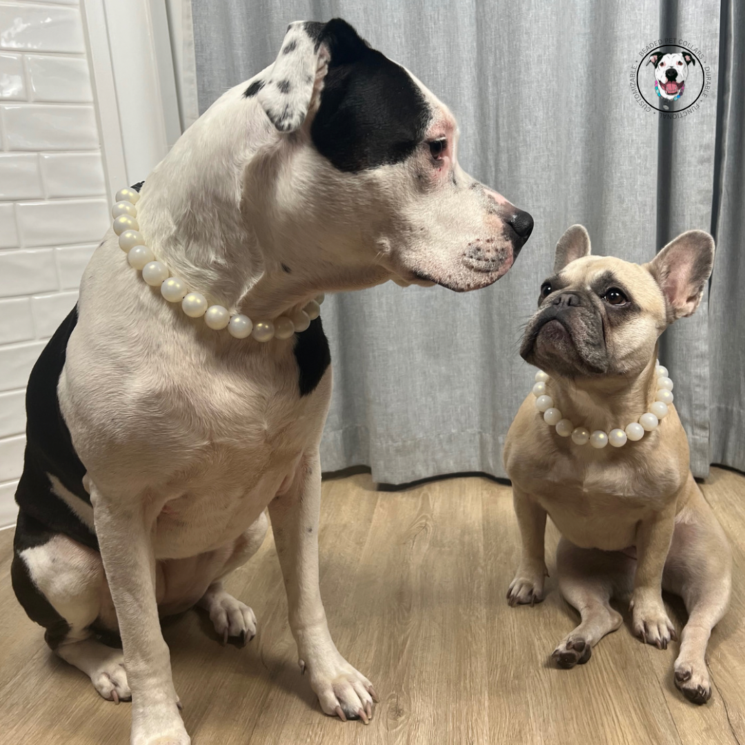 The Pearl- Slip on Beaded dog Collar - Made with Pearl acrylic beads - aircraft stainless steel and a o ring - Durable - handmade - customizable - comfortable