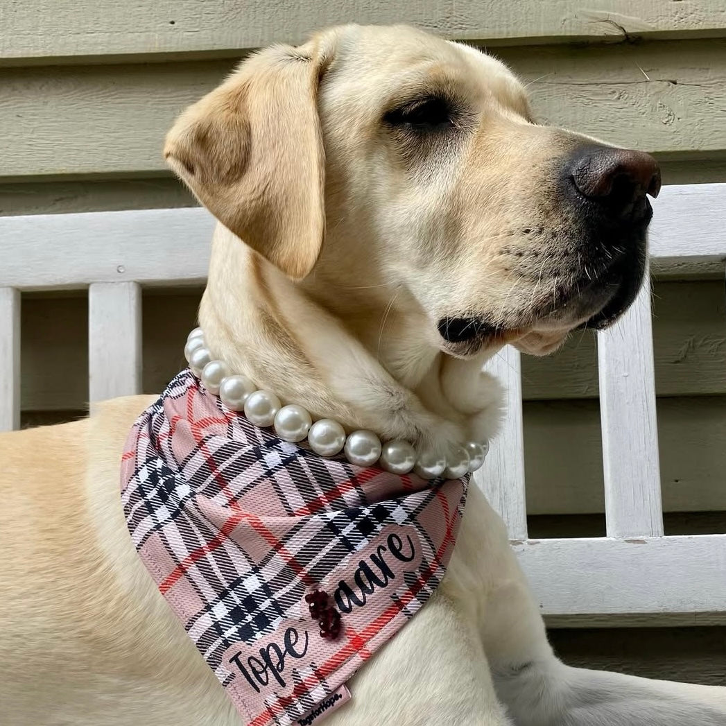 Dog wearing a plaid bandana and pearl collar sitting on a wooden bench.