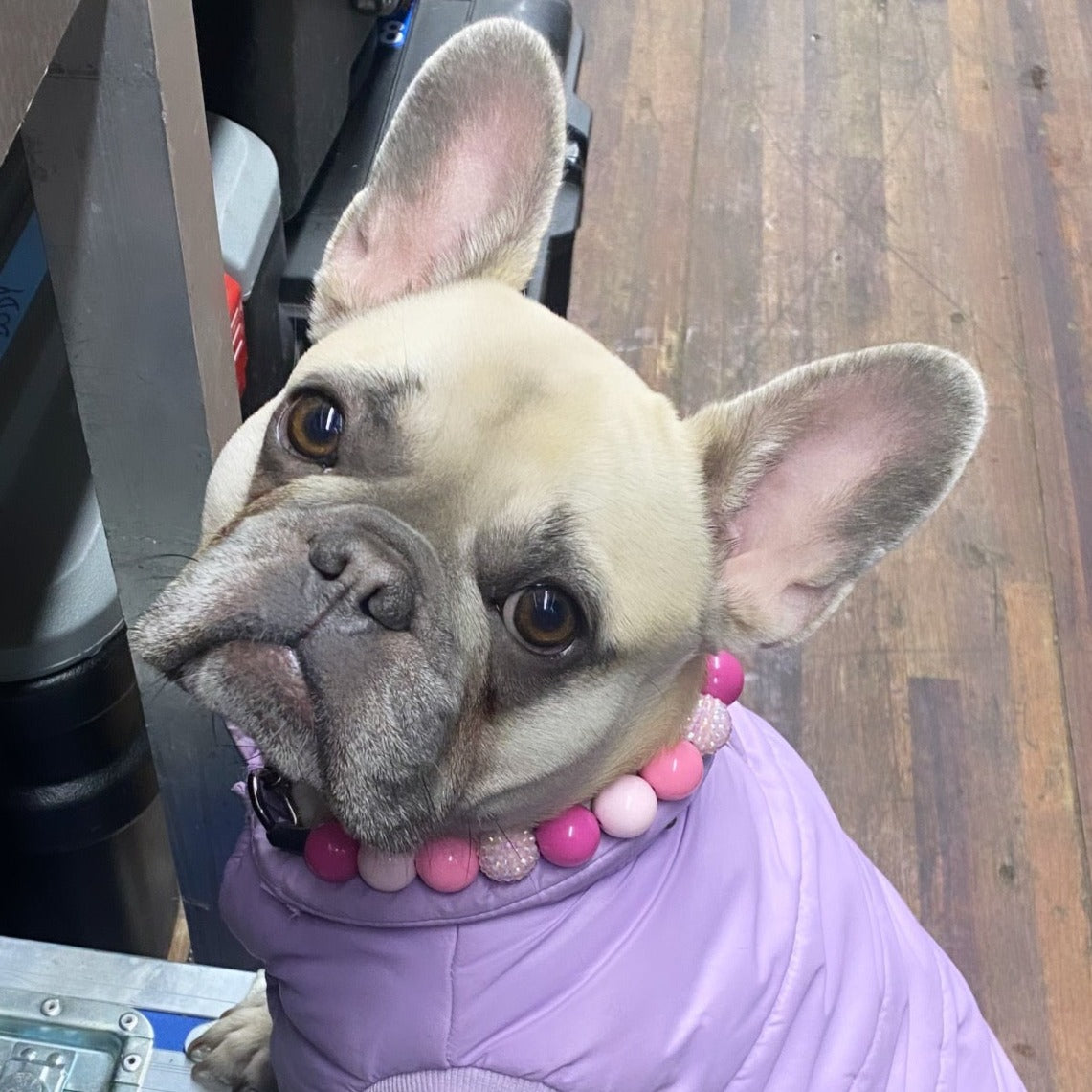 The Penelope - Slip on Beaded dog Collar - Made with alternating light and dark pink acrylic beads - aircraft stainless steel and a o ring - Durable - handmade - customizable
