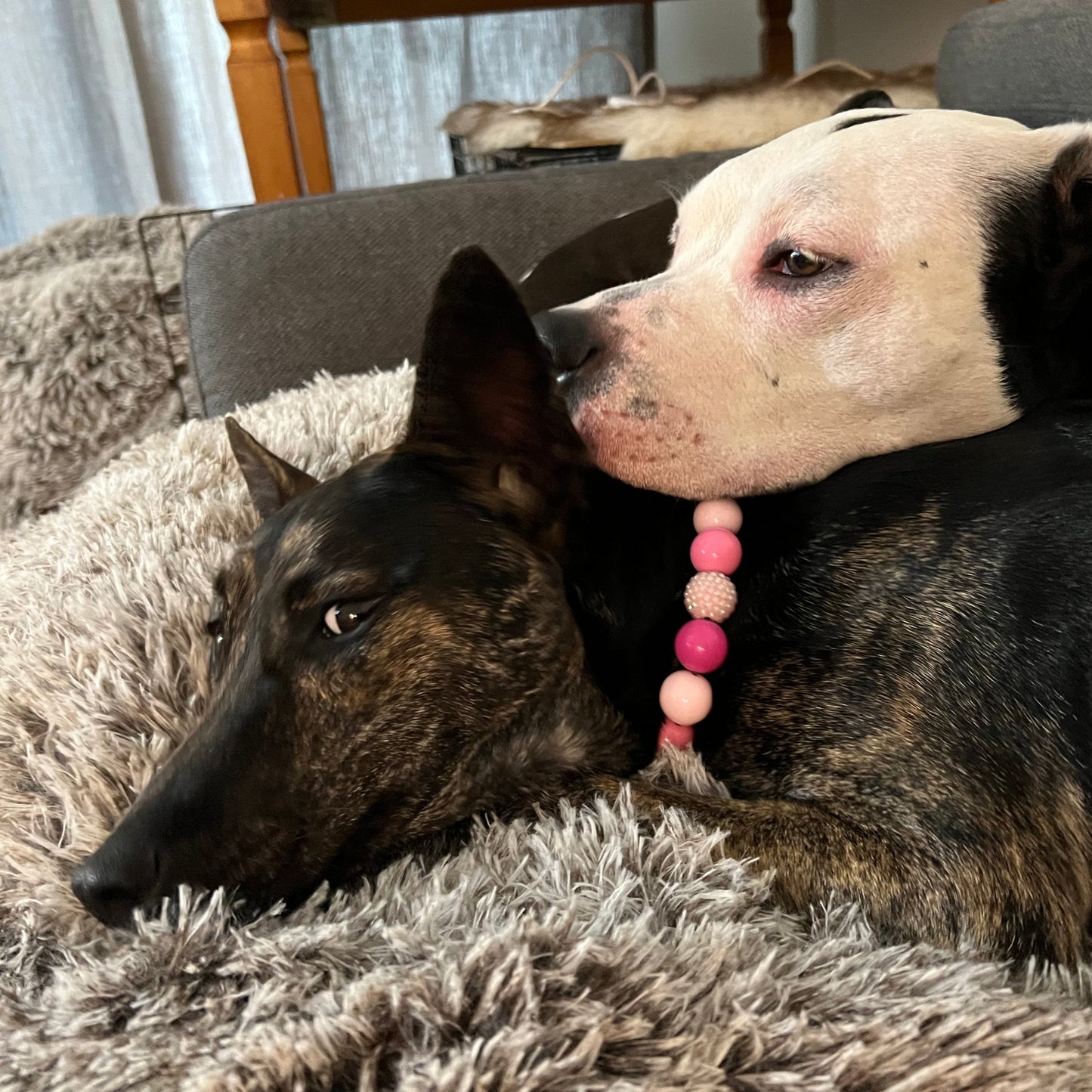 The Penelope - Slip on Beaded dog Collar - Made with alternating light and dark pink acrylic beads - aircraft stainless steel and a o ring - Durable - handmade - customizable