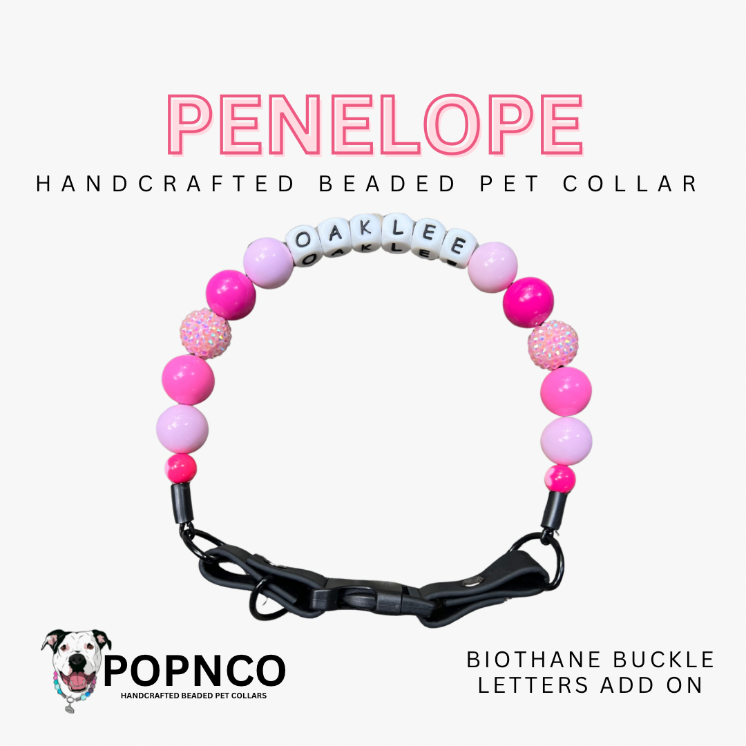 Handcrafted beaded pet collar with customizable letters on a white background, featuring the brand 'Popnco'.