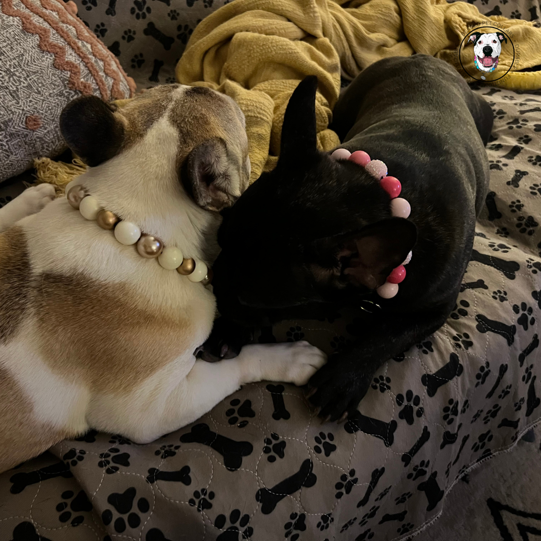 Frenchie- The Penelope - Slip on Beaded dog Collar - Made with alternating light and dark pink acrylic beads - aircraft stainless steel and a o ring - Durable - handmade - customizable