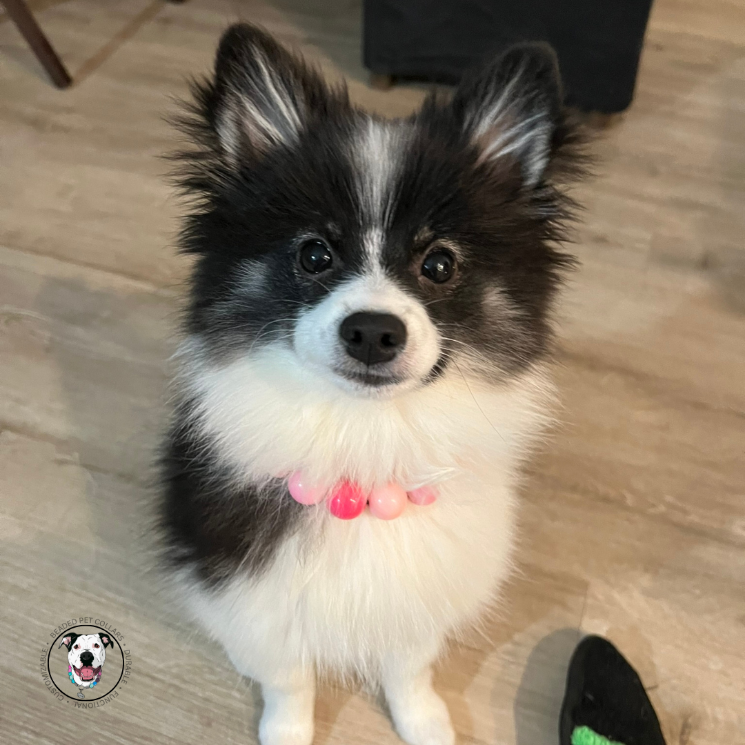 Pomski - The Petal - Flower Collection - Slip on Beaded dog Collar - Made with pink acrylic beads - aircraft stainless steel and a o ring - Durable - handmade - customizable