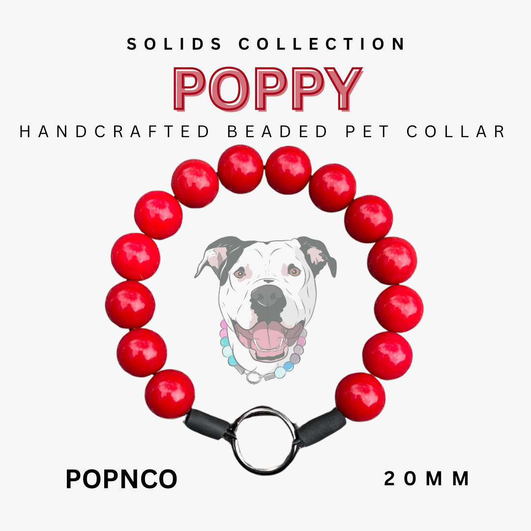 Handcrafted beaded pet collar with red beads and a black clasp, featuring the brand 'Popnco'.
