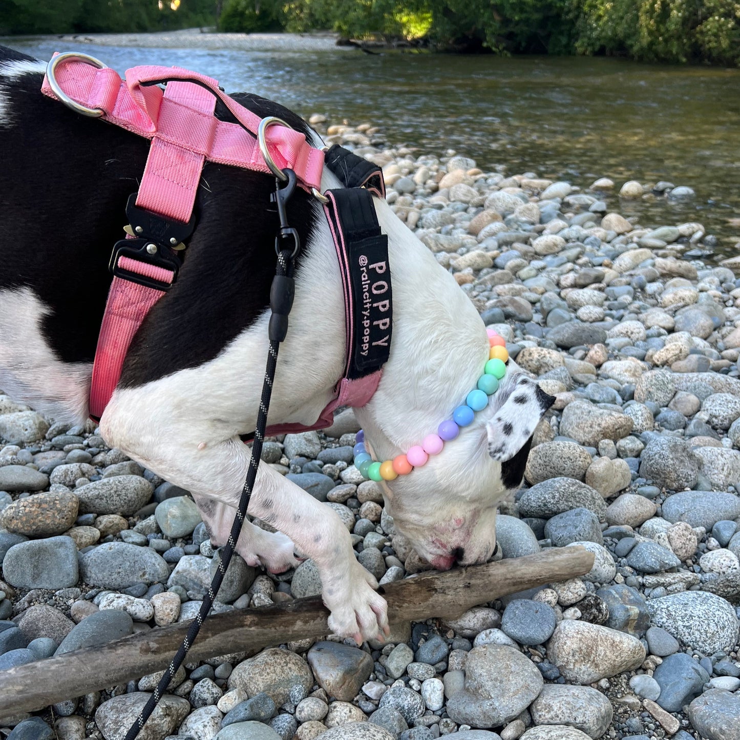 RAINBOW PASTEL