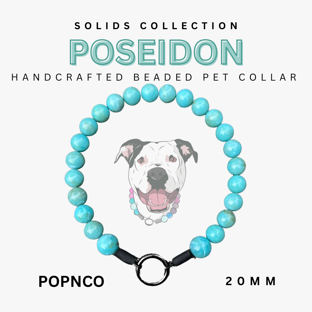 Handcrafted beaded pet collar with turquoise beads and a black strap, featuring a dog illustration on a white background.