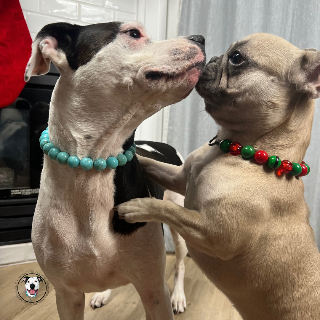 Pitbull mix - The Poseidon - water collection - Slip on Beaded Pet Collar - Made with marbled blue acrylic beads - aircraft stainless steel and a o ring - Durable - handmade - customizable